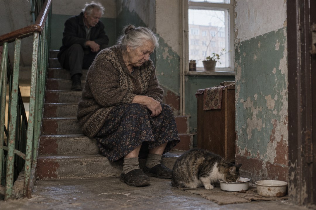 Я нашла кота под дверью в дождь. Оказалось, он нашёл людей в подъезде, которых никто годами даже не видел
